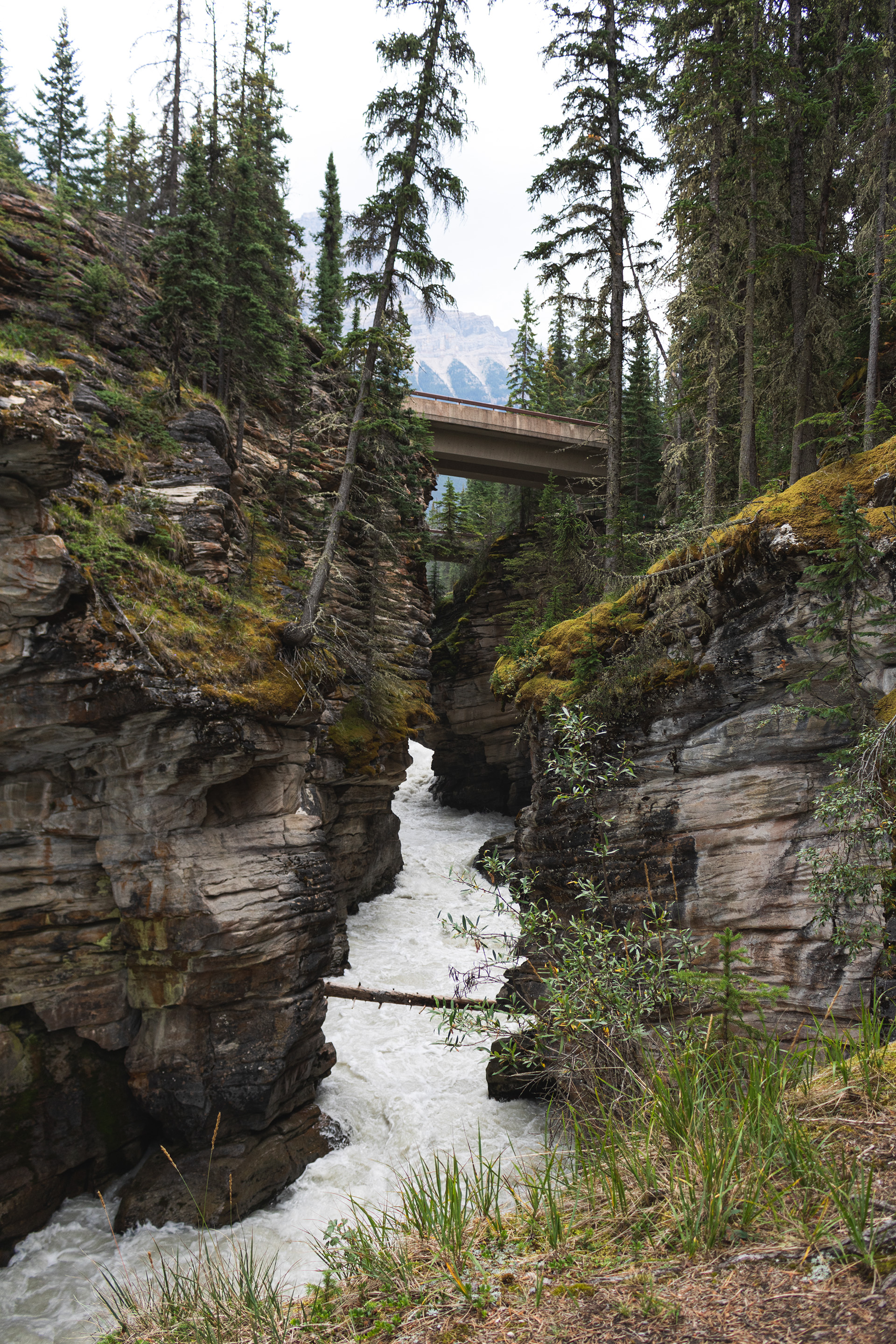 Small concrete bridge above a ravine with water rushing far below it, trees sit above the winding ravine walls.